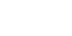 StreamlineVerify logo